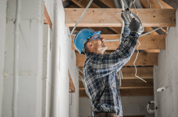 Best Industrial Electrical Services  in Forreston, IL
